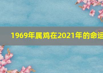 1969年属鸡在2021年的命运