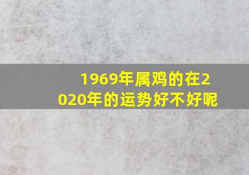 1969年属鸡的在2020年的运势好不好呢