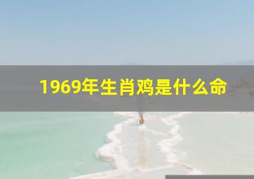 1969年生肖鸡是什么命