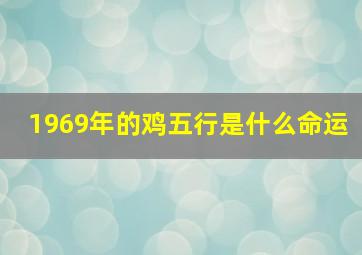 1969年的鸡五行是什么命运