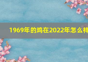 1969年的鸡在2022年怎么样