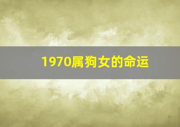 1970属狗女的命运