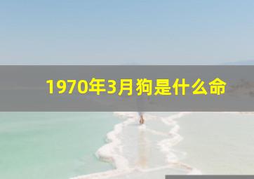 1970年3月狗是什么命