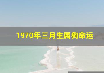 1970年三月生属狗命运