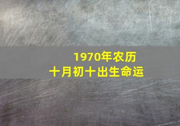 1970年农历十月初十出生命运