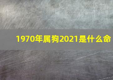 1970年属狗2021是什么命