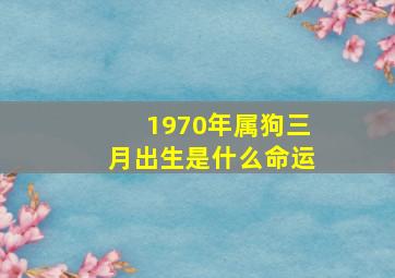 1970年属狗三月出生是什么命运