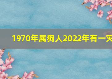 1970年属狗人2022年有一灾