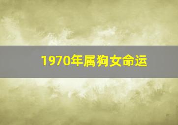 1970年属狗女命运