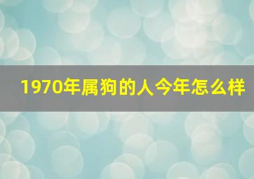 1970年属狗的人今年怎么样