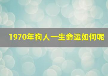 1970年狗人一生命运如何呢