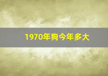 1970年狗今年多大