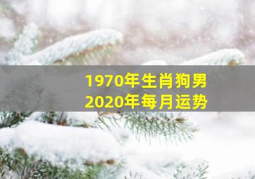 1970年生肖狗男2020年每月运势