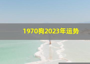 1970狗2023年运势