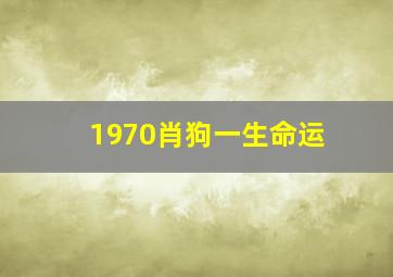 1970肖狗一生命运