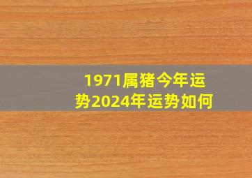 1971属猪今年运势2024年运势如何