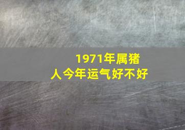 1971年属猪人今年运气好不好