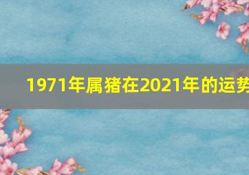 1971年属猪在2021年的运势