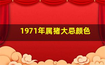 1971年属猪大忌颜色