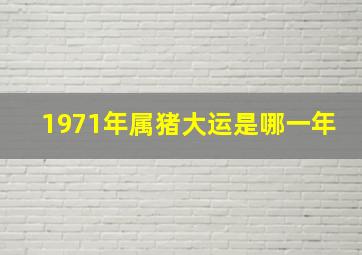 1971年属猪大运是哪一年