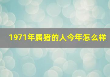 1971年属猪的人今年怎么样