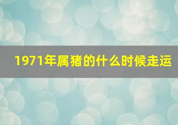 1971年属猪的什么时候走运