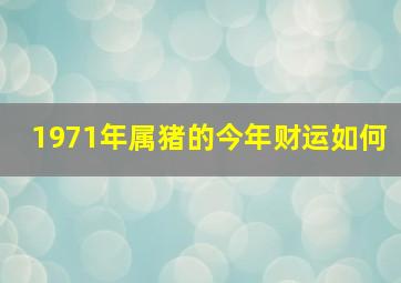 1971年属猪的今年财运如何