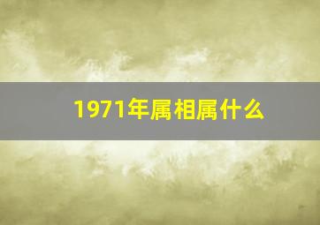 1971年属相属什么