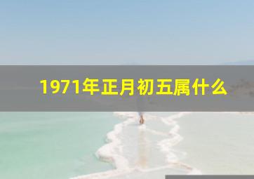 1971年正月初五属什么