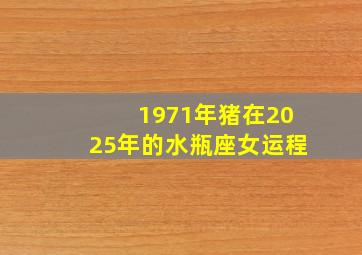 1971年猪在2025年的水瓶座女运程