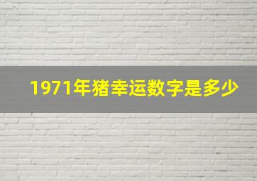 1971年猪幸运数字是多少