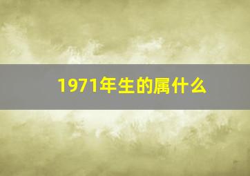 1971年生的属什么