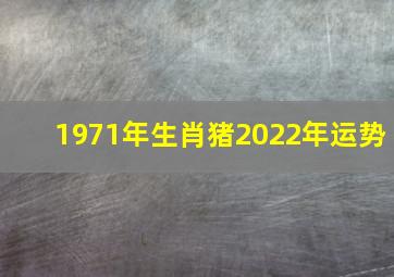 1971年生肖猪2022年运势