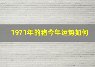 1971年的猪今年运势如何