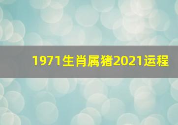 1971生肖属猪2021运程