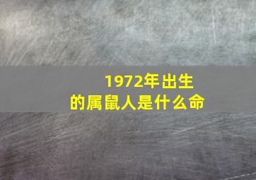 1972年出生的属鼠人是什么命