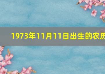 1973年11月11日出生的农历