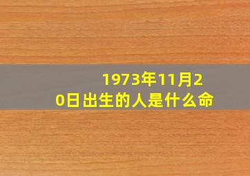 1973年11月20日出生的人是什么命