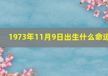 1973年11月9日出生什么命运