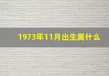 1973年11月出生属什么