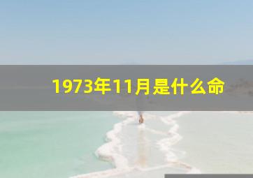 1973年11月是什么命