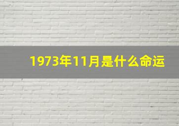 1973年11月是什么命运