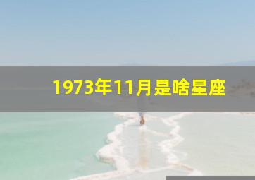 1973年11月是啥星座