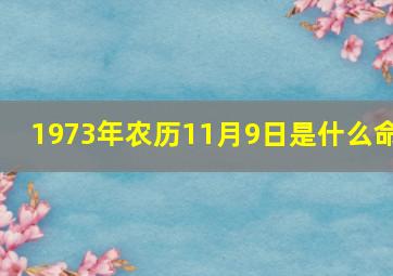 1973年农历11月9日是什么命