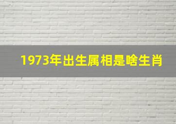 1973年出生属相是啥生肖