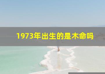 1973年出生的是木命吗