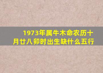 1973年属牛木命农历十月廿八卯时出生缺什么五行