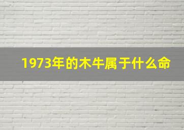 1973年的木牛属于什么命