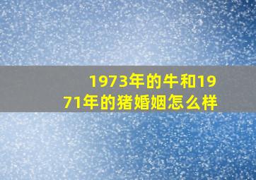 1973年的牛和1971年的猪婚姻怎么样