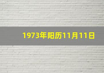 1973年阳历11月11日